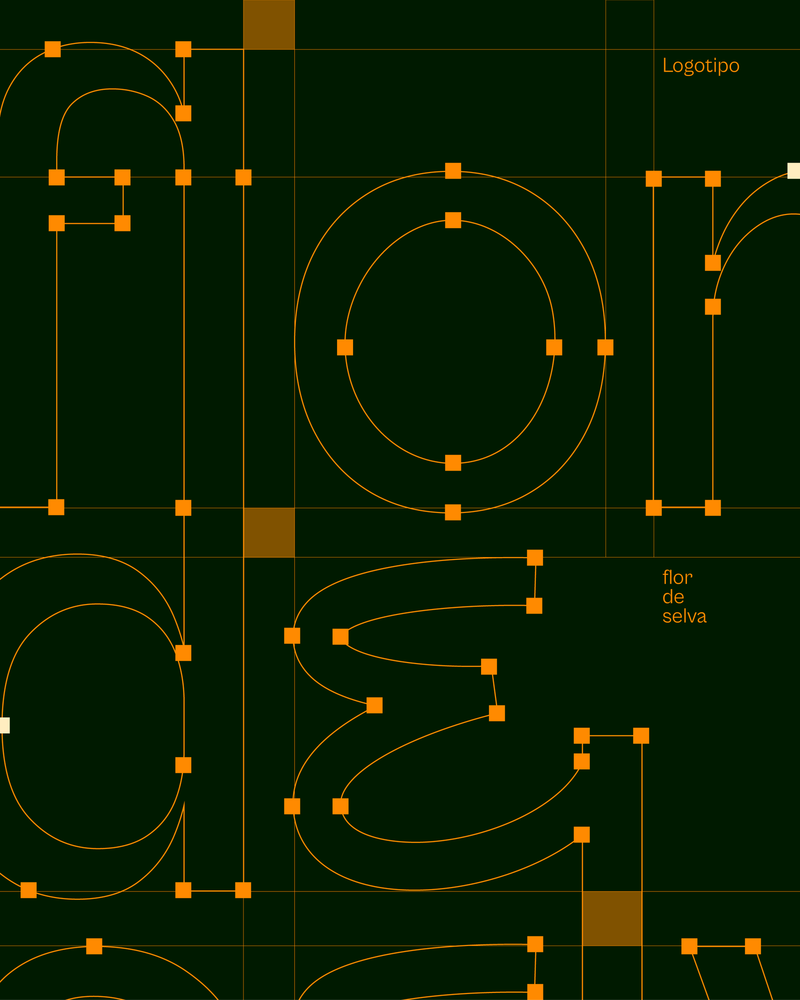 Construcción gráfica del logotipo de Flor de Selva